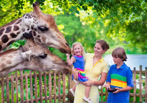 A woman holds her toddler as she pets a giraffe at the zoo, which is a wonderful option for Summertime Activities for Kids